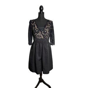 Eliza J Lace Women's Black Scalloped Fit & Flare Half Sleeve Cocktail Dress 10